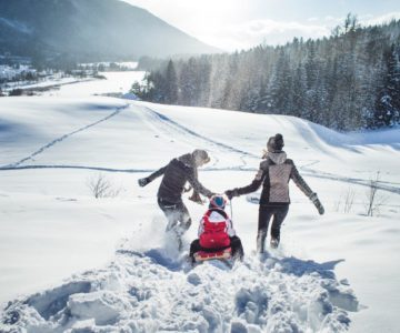 Rodeln im Winter